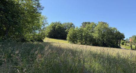 Terrain constructible