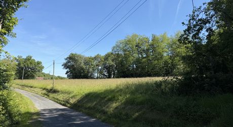 Terrain constructible