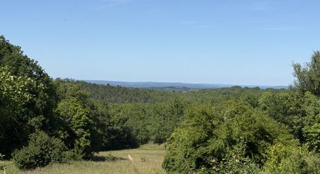 Terrain constructible