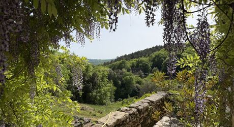 Propriété de charme au calme absolu sur 3 hectares