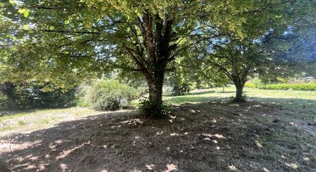 Beau bien de caractère avec dépendances à rénover – Idéal projet touristique ou familial Périgord Noir