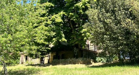 Beau bien de caractère avec dépendances à rénover – Idéal projet touristique ou familial Périgord Noir