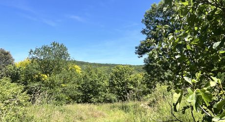 Beau bien de caractère avec dépendances à rénover – Idéal projet touristique ou familial Périgord Noir