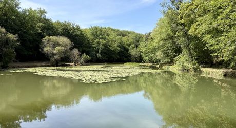 Propriété de caractère ade 20 hectares avec maison principale, maison d'amis, piscine, étang et cadre naturel
