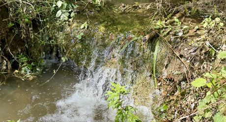 Propriété de caractère ade 20 hectares avec maison principale, maison d'amis, piscine, étang et cadre naturel