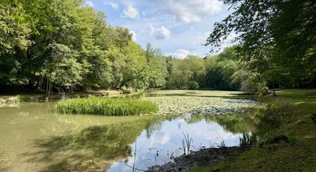 Propriété de caractère ade 20 hectares avec maison principale, maison d'amis, piscine, étang et cadre naturel