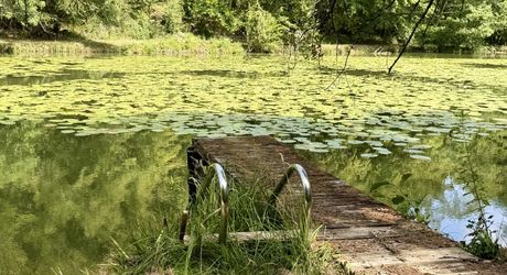 Propriété de caractère ade 20 hectares avec maison principale, maison d'amis, piscine, étang et cadre naturel