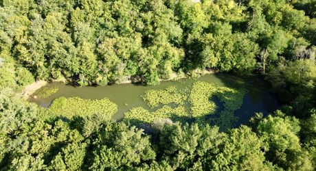 Propriété de caractère ade 20 hectares avec maison principale, maison d'amis, piscine, étang et cadre naturel