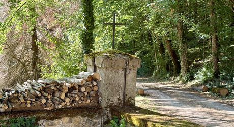 Propriété de caractère ade 20 hectares avec maison principale, maison d'amis, piscine, étang et cadre naturel