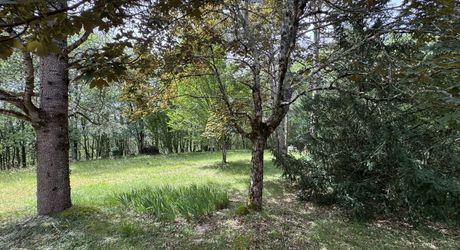 MAISON INDÉPENDANTE AU CALME AVEC TERRAIN BOISÉ PROCHE COMMERCES