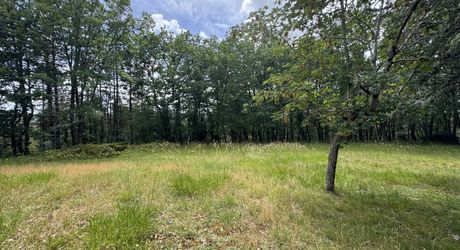MAISON INDÉPENDANTE AU CALME AVEC TERRAIN BOISÉ PROCHE COMMERCES