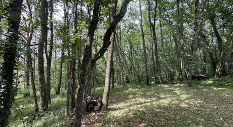 MAISON INDÉPENDANTE AU CALME AVEC TERRAIN BOISÉ PROCHE COMMERCES