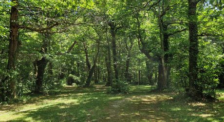 Ensemble périgordin rénové, ses deux roulottes et terrain de plus de 4 ha.