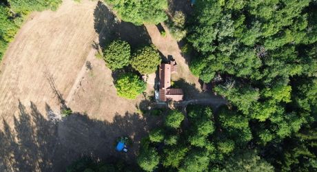 Ensemble périgordin rénové, ses deux roulottes et terrain de plus de 4 ha.