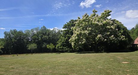 Ensemble périgordin rénové, ses deux roulottes et terrain de plus de 4 ha.