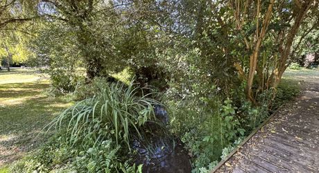 Propriété de charme , traversé par un ruisseau, avec activité gîte et chambres d'hôte, au coeur d'un village avec tous commerces