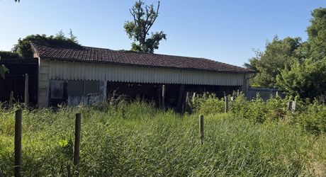 Propriété de caractère avec maison de maître, dépendances et parc arboré au cœur du Périgord Noir