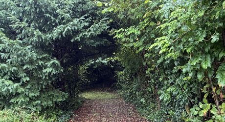 Maison familiale ultra-fonctionnelle : plain-pied avec un fort potentiel aux portes du village.Visite virtuelle sur demande