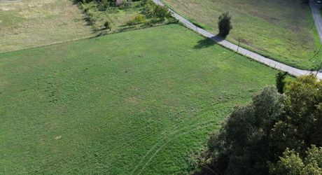 Propriété en pierre avec dépendances et 4,3 hectares de prairies aux portes de Sarlat