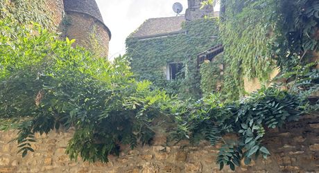 Charmante maison de  en pierre avec jardin clos au centre de la  vielle ville