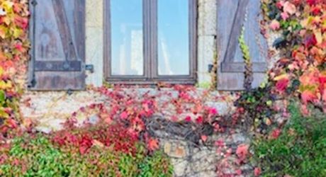  Propriété de charme en Périgord Noir: une douceur de vivre absolue, sans aucun travaux à prévoir