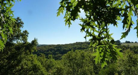 Propriété au coeur du Périgord Noir avec deux chambres d'hôtes et deux gîtes insolites + piscine 