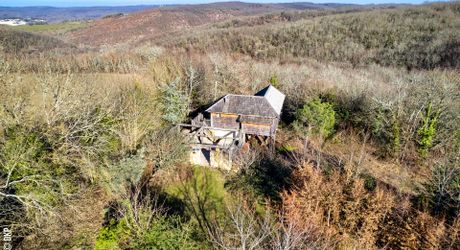 Propriété au coeur du Périgord Noir avec deux chambres d'hôtes et deux gîtes insolites + piscine 