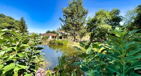 Sur les hauteurs de SARLAT  maison d'habitation et gite tous deux en parfait état - magnifique  terrain 4 254m2 avec source