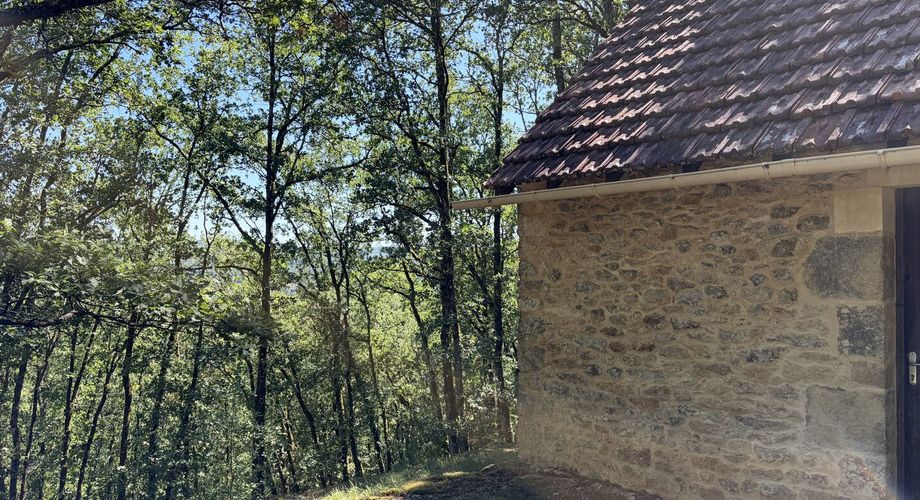 Très belle situation pour cette maison contemporaine située au calme dans un environnement boisé, sur les hauteurs de Montignac-Lascaux.
