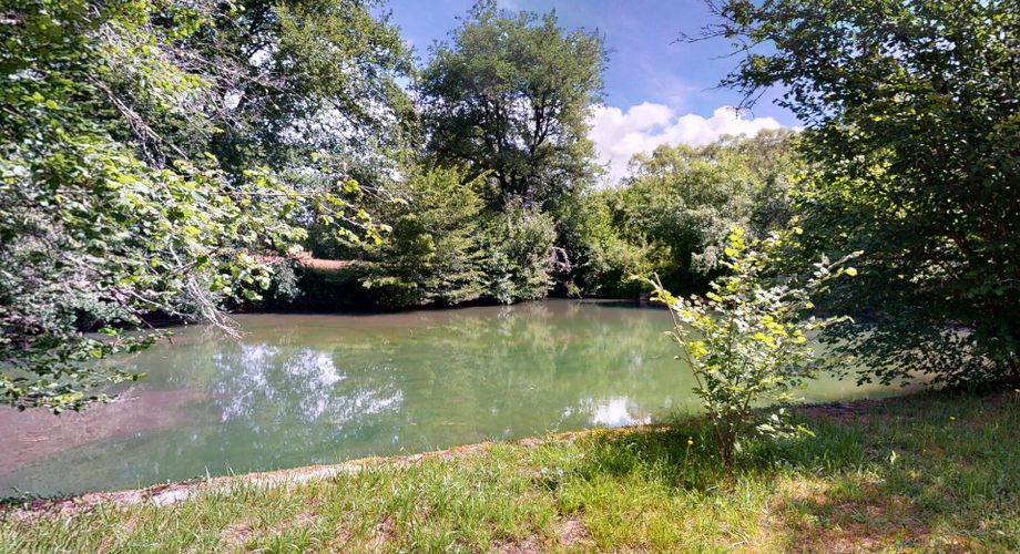Superbe propriété sur plus d'un hectare de terrain avec maison, piscine, moulin et son bief. Situation préservée dans un environnement bucolique.