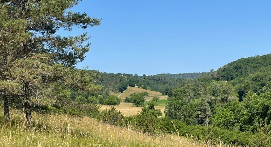 Exclusivité. Propriété de caractère au calme à 5 minutes de MONTIGNAC-LASCAUX.
