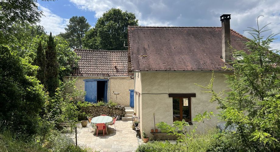 En Périgord Noir , entre Périgueux et Brive à 20 minutes de Montignac, propriété sur 3ha3 de terrain arboré avec une maison principale d'habitation, un gîte, une piscine et un petit étang. A voir!