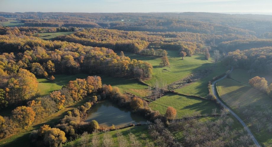 En Périgord Noir, sur les hauteurs, Propriété à rénover sur environ 4 hectares de terrain avec étang. Toitures neuves. Rénovation intérieure à réaliser.