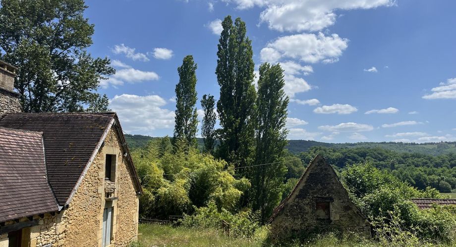 Belle propriété à rénover en Vallée Vézère, sur près de 4 hectares en nature de prairie et bois, avec plusieurs sources. Maison principale et dépendances. Très beau site.