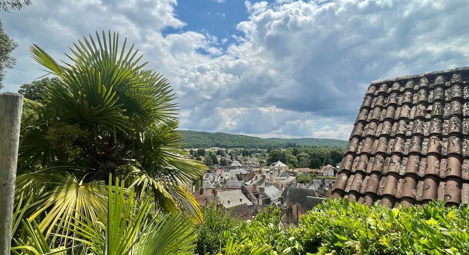 Sur les hauteurs de Montignac-Lascaux, maison ancienne avec gîte, garage et piscine sur 1500 m² de terrain. Jardin plein de charme et vue exceptionnelle sur le village!