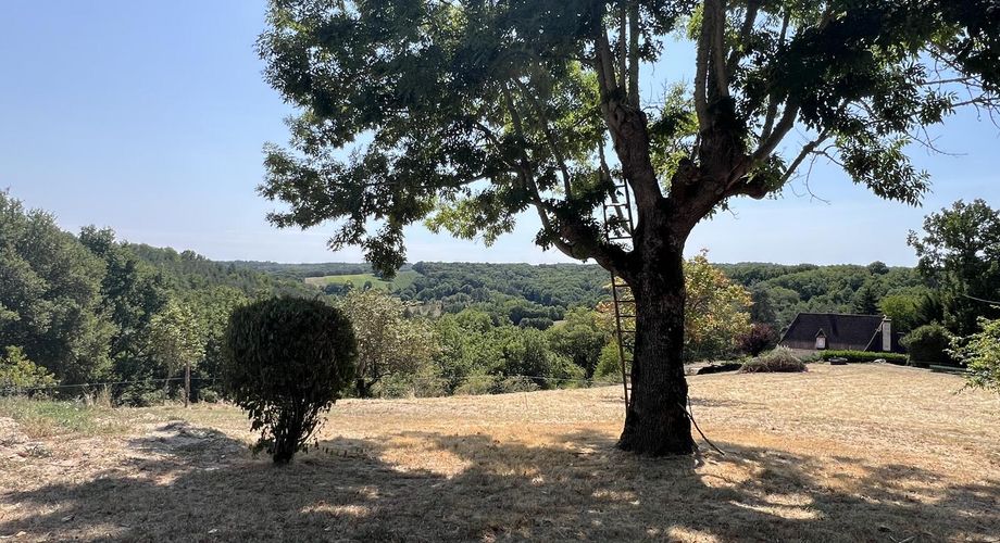 5 minutes from all amenities and shops, 15 minutes from Montignac, between Périgueux and Brive, fully renovated house with unobstructed views.
