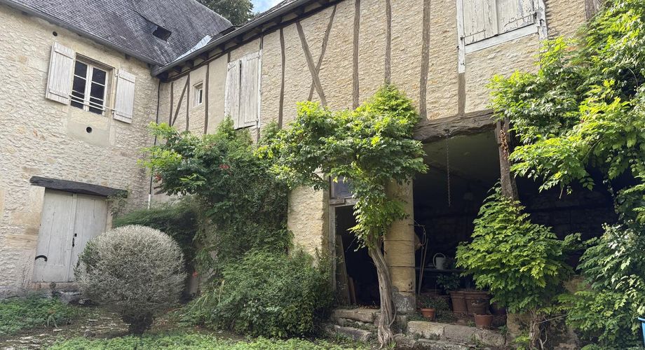 Superb residence in the centre of Montignac-Lascaux on over 1 hectare of land with a spring and access to the Vézère river. The countryside in the city.
