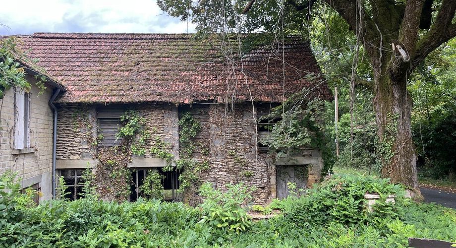 Entre Sarlat, Montignac et les Eyzies, sur la commune de Tamnies, ancien corps de ferme à rénover entièrement.