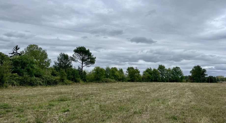 A vendre sur les hauteurs de la commune de Tamniès, proche de Sarlat, 9 lots de terrain à bâtir de belle superficie ( de 2500 m² à 6000 m² environ ), 18€ le m².
