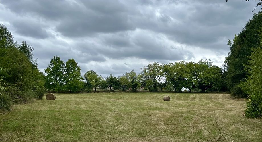A vendre sur les hauteurs de la commune de Tamniès, proche de Sarlat, 9 lots de terrain à bâtir de belle superficie ( de 2500 m² à 6000 m² environ ), 18€ le m².