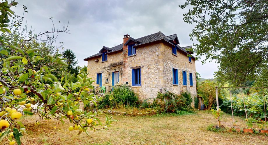 En Périgord Noir, dans le magnifique village de SAINT-LEON-SUR-VEZERE, à proximité à pieds de l’épicerie et des restaurants, maison ancienne rénovée avec grande cave/atelier, jardin, dépendance et verger.