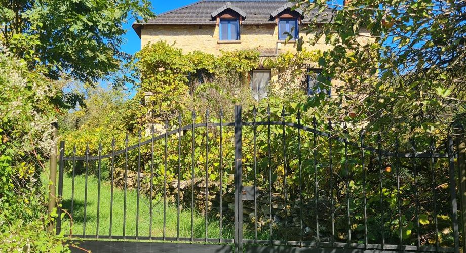 En Périgord Noir, dans le magnifique village de SAINT-LEON-SUR-VEZERE, à proximité à pieds de l’épicerie et des restaurants, maison ancienne rénovée avec grande cave/atelier, jardin, dépendance et verger.