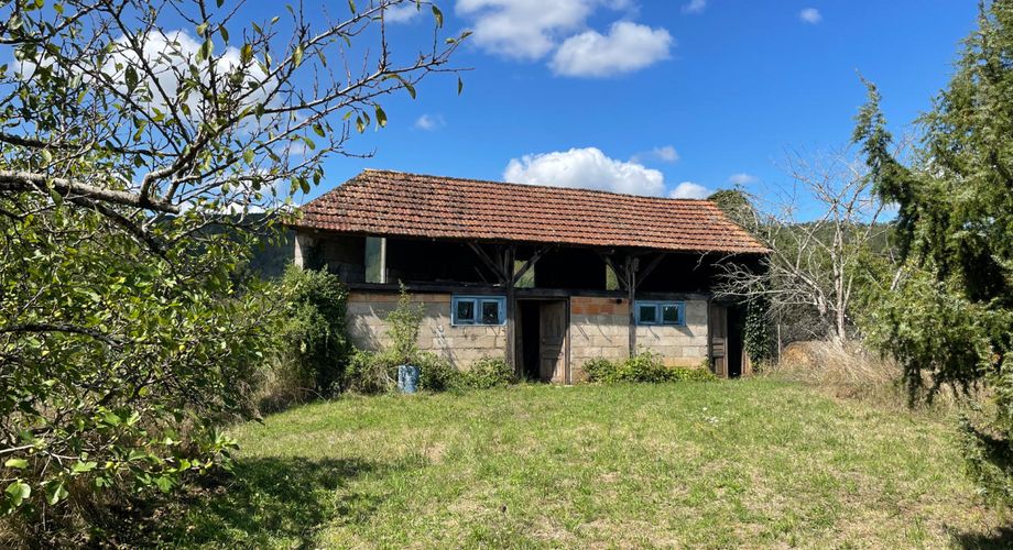 LOVELY FOUR-BEDROOM PROPERTY ON AN ACRE IN THE MAGNIFICENT VILLAGE OF ST-LEON-SUR-0VEZERE.WALK TO THE GROCERY STORE AND RESTAURANTS. LARGE CELLAR/WORKSHOP, OUTBUILDING AND ORCHARD. MP113987