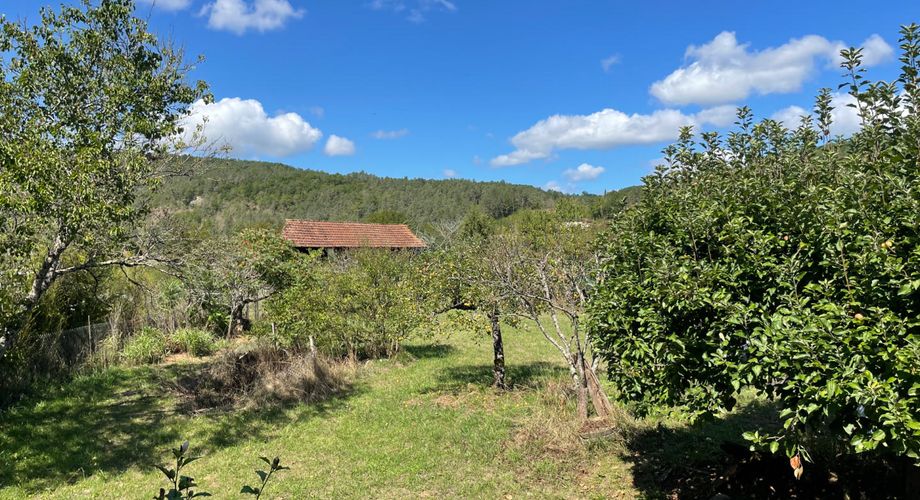 LOVELY FOUR-BEDROOM PROPERTY ON AN ACRE IN THE MAGNIFICENT VILLAGE OF ST-LEON-SUR-0VEZERE.WALK TO THE GROCERY STORE AND RESTAURANTS. LARGE CELLAR/WORKSHOP, OUTBUILDING AND ORCHARD. MP113987