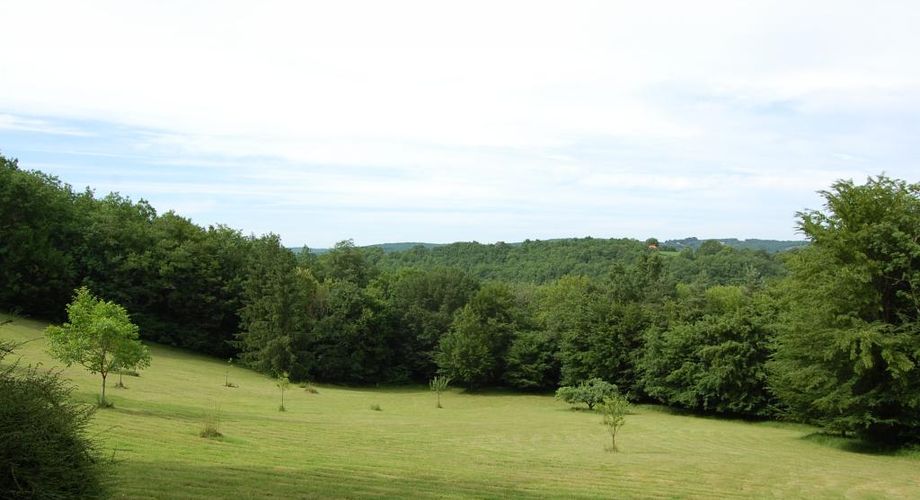 Magnifique PROPRIETE rénovée, offrant 550 m2 habitables, en plein coeur du Périgord Noir. Terrain de 20 hectares.
