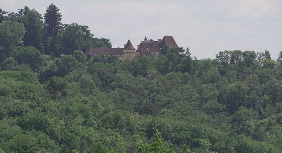 En Périgord noir-Vallée de la Vézère, entre Plazac et Saint-Léon, maison en pierre sur plus de 7 hectares, en situation isolée, sans voisin proche, à l'abri de toutes nuisances.