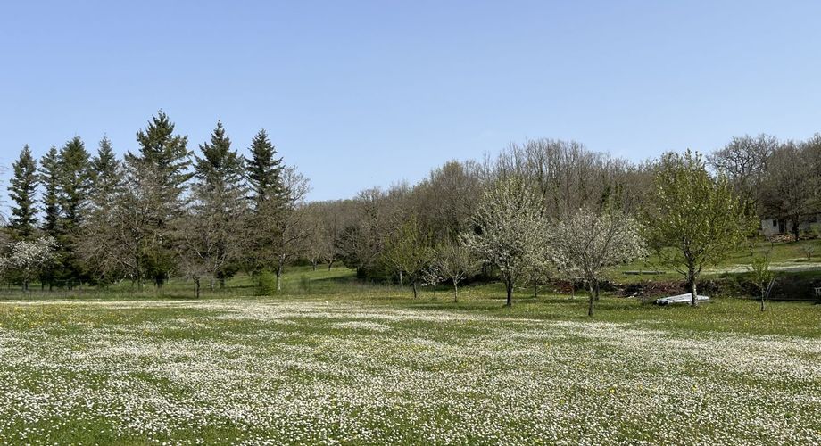 Entre Martel, Brive la Gaillarde et Souillac, Propriété sur un très beau terrain de 2.5 ha avec grande maison de plus de 240 m² habitables, et un atelier.