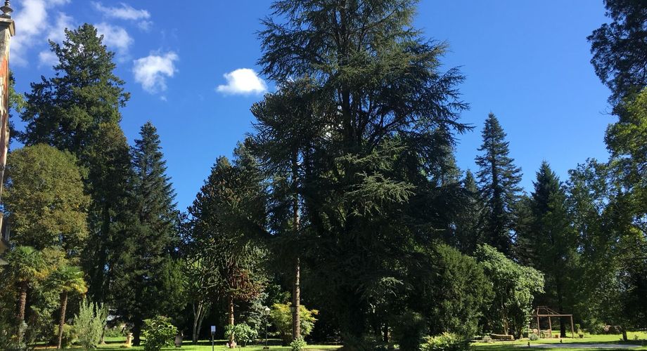 Aux portes du Périgord Noir, aux abords de Souillac en direction de Sarlat, au centre d'un magnifique parc de 3 hectares, belle demeure rénovée offrant plus de 500 m² habitables, avec piscine et dépendance.