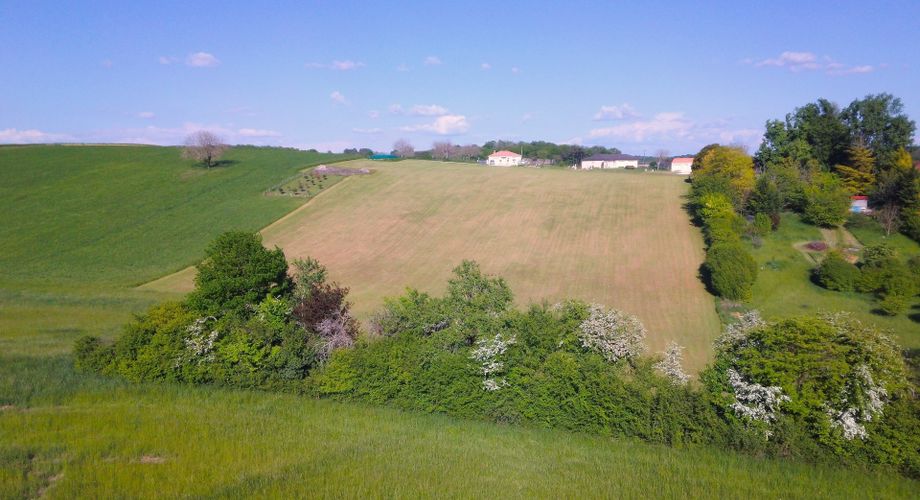 Spacieux terrain de 1 hectares dont environ 2900 m² constructibles à proximité des commodités en Dordogne. Eau et électricité.