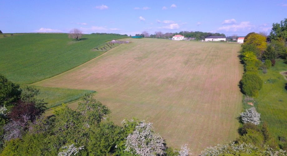 Spacieux terrain de 6500m² dont environ 1800 m² constructibles à proximité des commodités en Dordogne.